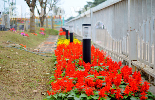 Sắc màu rực rỡ.