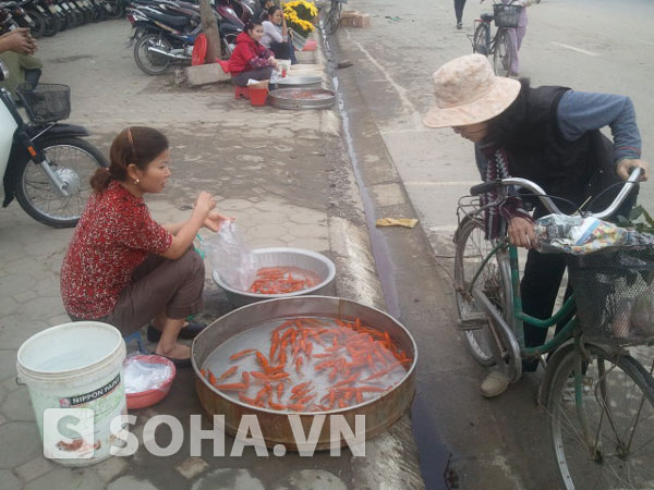 Các loại cá chép vàng dùng để cúng tiễn Táo quân về trời được nhiều người chọn mua với mức giá tăng từ 10 - 20%.