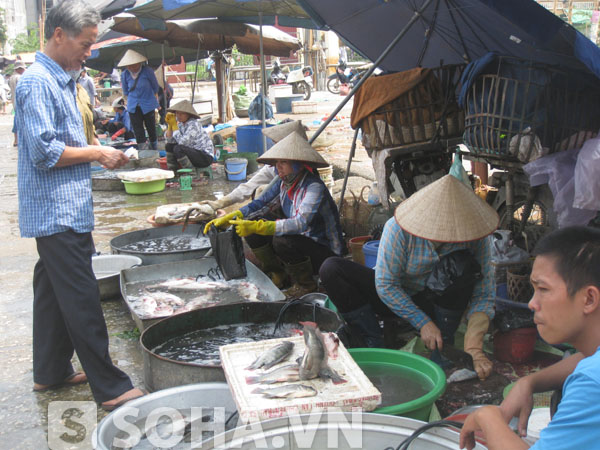 Các loại thuỷ, hải sản cũng có mức tăng giá cao.