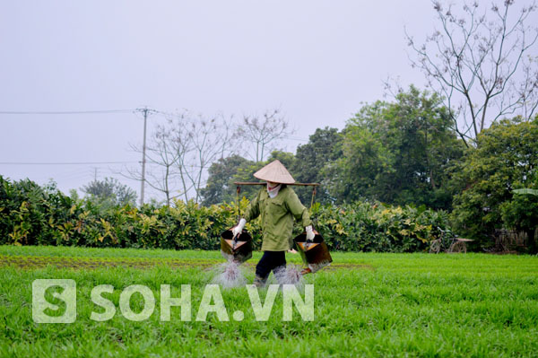 Tưới nước cho hoa.