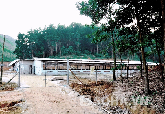
	Một trong hai trang trại lợn đang "hành hạ" cuộc sống của người dân xã Hương Minh.