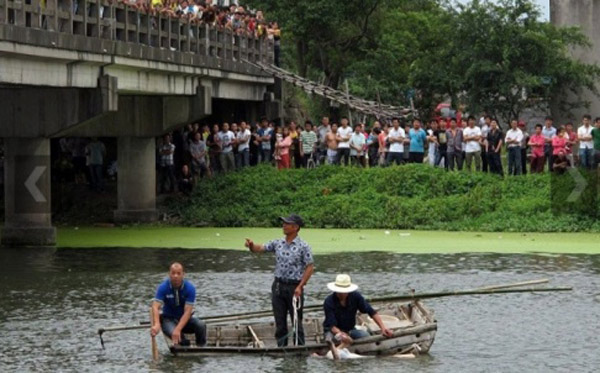 Dân Trung Quốc 'phẫn nộ' vì giá vớt người chết đuối quá đắt đỏ