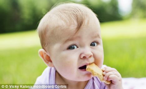 
	Trẻ ăn thực phẩm rắn quá sớm dễ mặc bệnh béo phì và đái tháo đường.