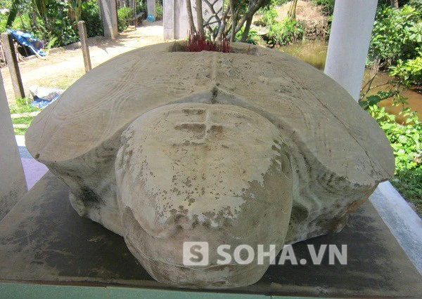 
	Rùa đá được người dân phát hiện và lập miếu thờ. Trên đầu rùa có khác chữ “Vương” theo tiếng Hán và các hoa văn được chạm khác khá sắc xảo.