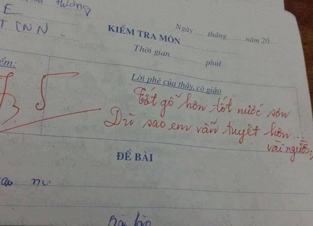  	Tuy chưa rõ thực hư bài kiểm tra này thật giả thế nào nhưng cư dân mạng tỏ ra thích thú với lời phê này. Từ câu tục ngữ quen thuộc, cô giáo đã sáng tạo ra lời phê bằng thơ:“Tốt gỗ hơn tốt nước sơn/Dù sao em vẫn tuyệt hơn vài người”.