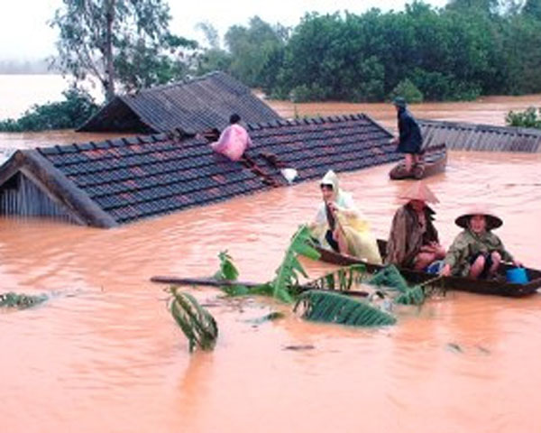 
	Đi thuyền vào từng nóc nhà cứu nạn.