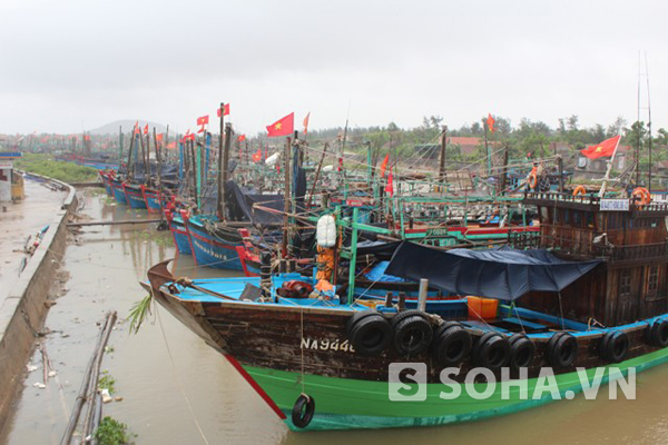 Hơn 4.000 tàu được kêu gọi trú ẩn.