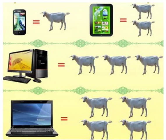 Trung Quốc: Người dân dùng cừu để mua máy tính bảng
