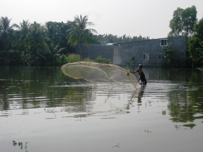 
	Nước ngập khắp nơi, người dân mang lưới ra đánh cá.