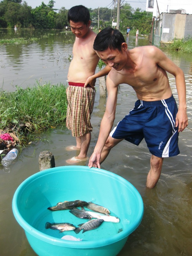 
	Thành quả.