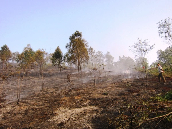 
	Khung cảnh hoang tàn sau vụ cháy.