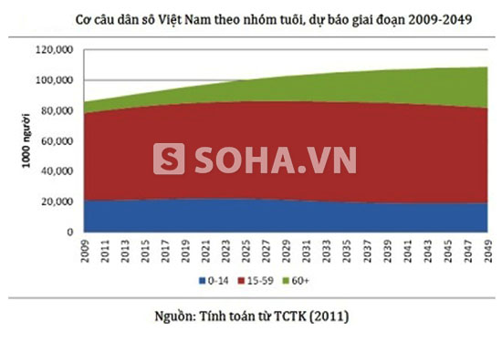 Trong khi đó, theo thống kê và tính toán, cơ cấu dân số của Việt Nam hiện nay (và dự báo trong những năm tới), lực lượng lao động trẻ vẫn chiếm tỉ lệ khá cao.