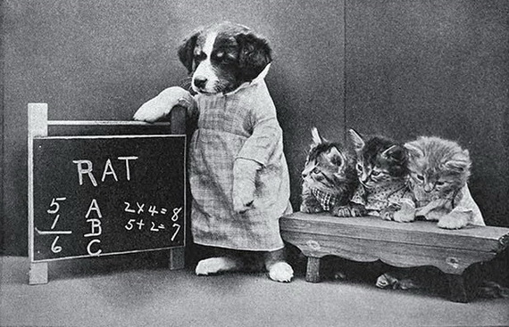 Siêu dễ thương chùm ảnh cún cưng chụp từ 100 năm trước