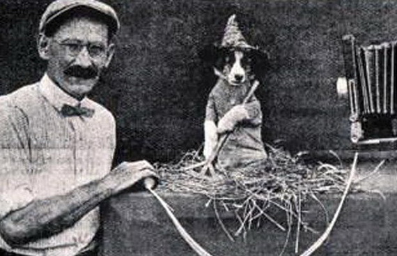 Siêu dễ thương chùm ảnh cún cưng chụp từ 100 năm trước