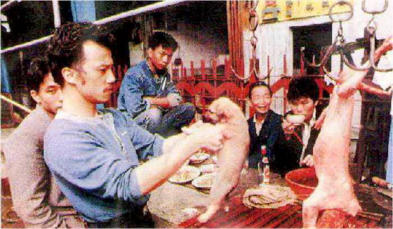 Rùng mình với phong tục ăn thịt chó tại Trung Quốc