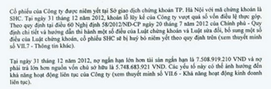 SHC: Sẽ bị hủy niêm yết do lỗ lũy kế vượt vốn điều lệ