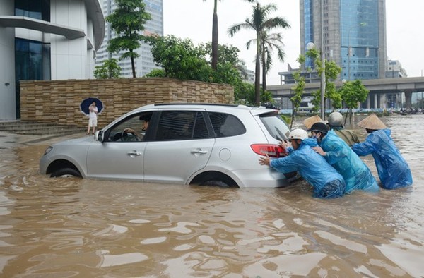 Các dịch vụ, hoạt động 