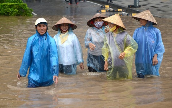 Các dịch vụ, hoạt động 