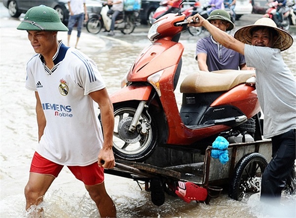 Các dịch vụ, hoạt động 