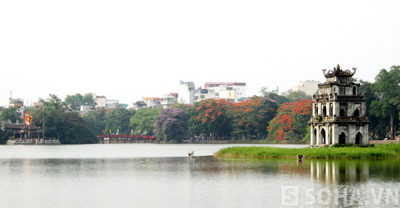 
	Những ngày tháng 5 nắng vàng rực rỡ, khu vực hồ Gươm lại cháy rực một màu hoa phượng đỏ.