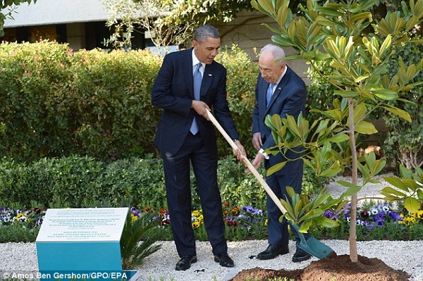 
	Tổng thống Mỹ cùng Tổng thống Israel cùng nhau trồng cây hoa mộc lan.