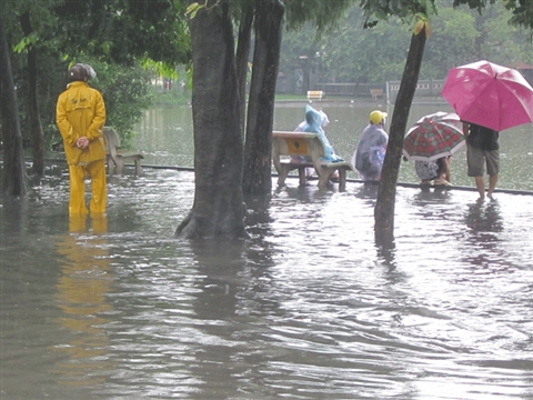 	Nước tràn lên mặt đường, công nhân xí nghiệp thoát nước Hà Nội đành nhìn bất lực (Nguồn: Tri thức)