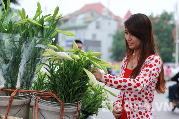 Tháng 4: Mùa hoa loa kèn, mùa của hoài niệm