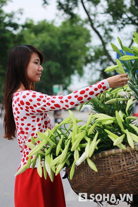 
	Loa kèn tinh khiết, dịu dàng như người con gái Hà Thành...