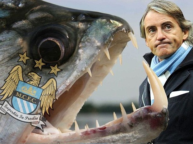 
	HLV Di Canio ví cầu thủ Man City giống như loài cá ăn thịt Piranha