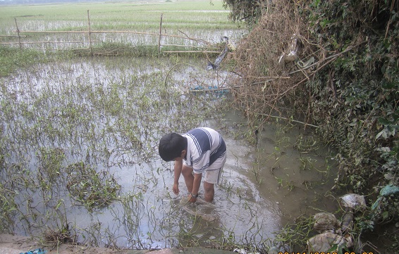 
	Hai anh em Tiêu Vũ Linh và Tiêu Vũ Anh Phụng