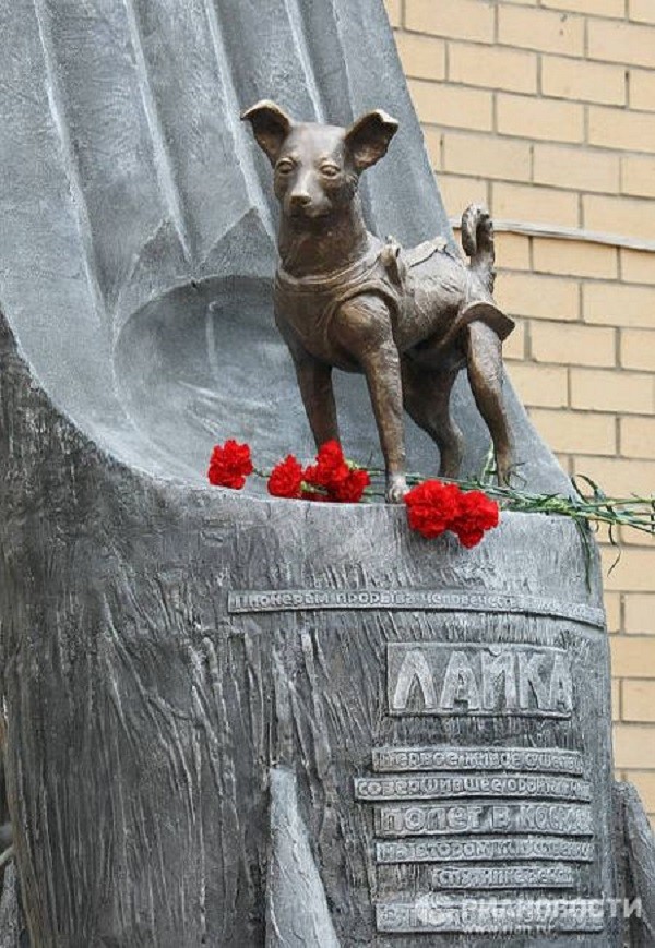  	Đài tưởng niệm chú chó Laika.
