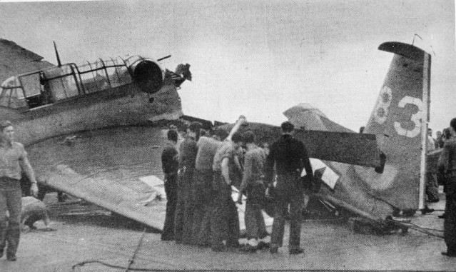  	Một phiên bản cải tiến FM Wildcat tiếp tục phục vụ cho đến hết chiến tranh trên các tàu sân bay hộ tống, nơi không thể sử dụng những chiếc tiêm kích mới to và nặng hơn.