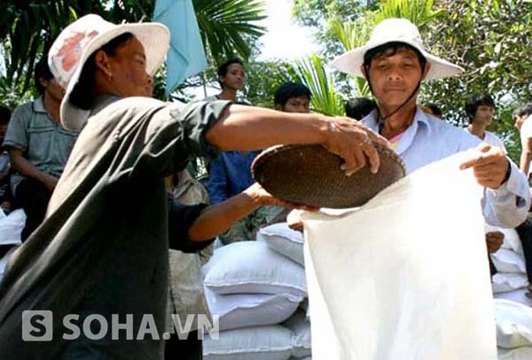 Quảng Ngãi: Người dân vùng bệnh lạ sẽ được cấp gạo ăn 6 tháng