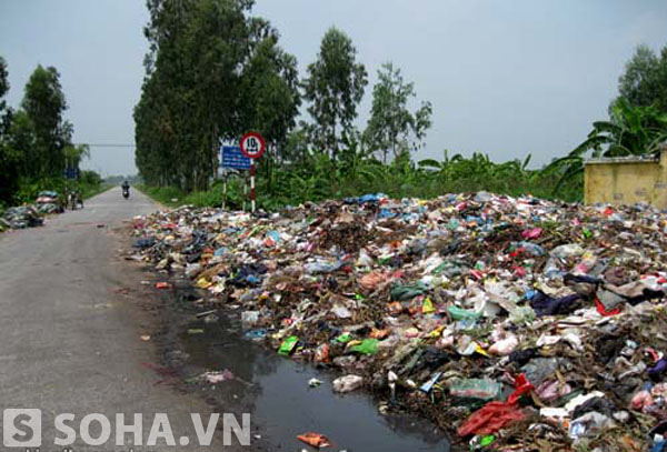 Hiện nay, xử lý rác thải sinh hoạt đang là một trong những vấn đềc 