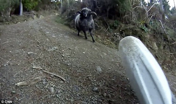 Video hot: Người lái xe máy bị "cừu non"... hành hung trên đường làng