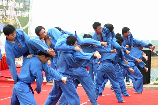  	Nhường huy chương để Vovinam được phổ biến, liệu đó có phải là giải pháp tốt?