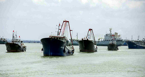 Đội tàu cá Trung Quốc kéo xuống đánh bắt trái phép ở Trường Sa (Ảnh: Hoàn Cầu thời báo).