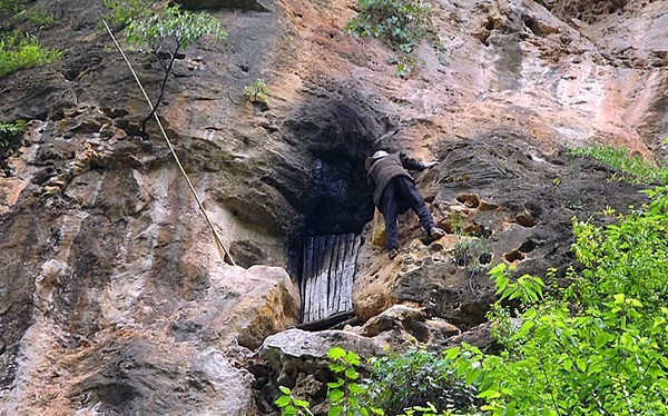 	“Người rừng” Feng Mingshan, 54 tuổi, trèo lên “nhà” của mình là một hang động trên vách đá ở Gaoba, nơi ông đã ở hơn 20 năm.