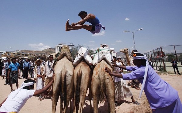 	Một người đàn ông người Bedouin đang nhảy qua con lạc đà trong lễ hội mùa hè Sanaa ở Yemen. Lễ hội kéo dài hai tuần nhằm đẩy mạnh du lịch trong nước, trấn an khách du lịch trong và ngoài nước về sự ổn định của Yemen.