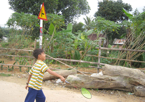 lũ cuốn, Phú Yên, tảo mộ, miền Trung, xóm Trường