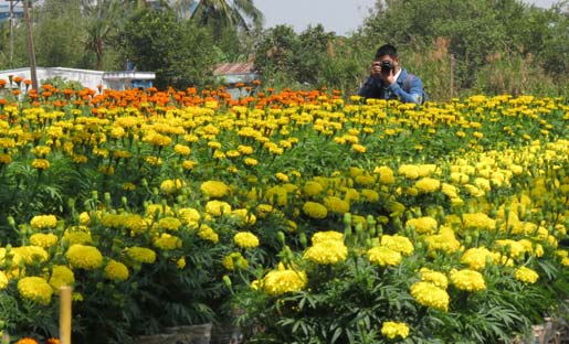 làng hoa, Sa Đéc, Đồng Tháp