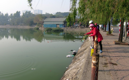 cá chép, tiễn ông Táo, thả cá, vớt