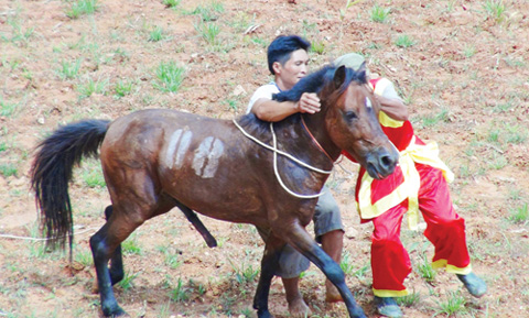 đấu ngựa, Bằng Hành, Hà Giang, thôn Linh, lễ hội