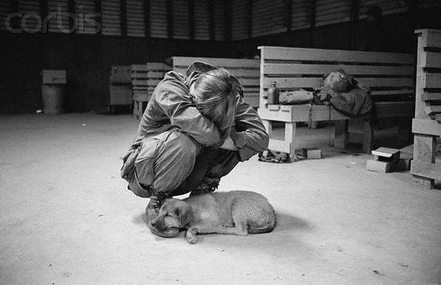 31 Jan 1971, Quang Tri, South Vietnam --- January 31, 1971 - Quang Tri, South Vietnam: Away from the war and the fears brought on by the new expedition, this American soldier and his little puppy share a moment of sleep at the staging base before being airlifted to Khe Sanh. --- Image by © Bettmann/CORBIS