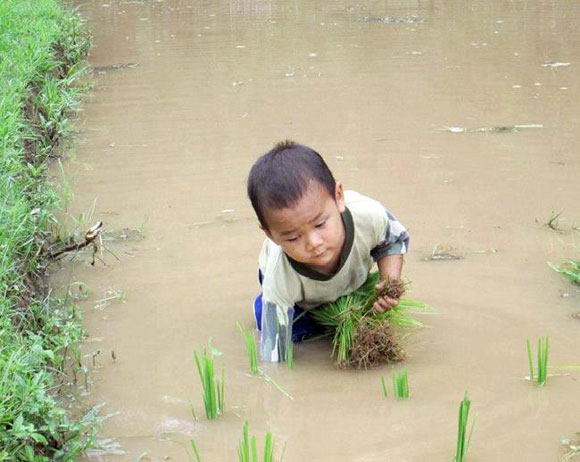 Nhọc nhằn hình ảnh những trẻ em lao động