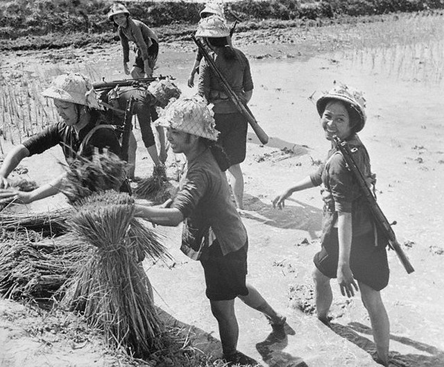 18 Oct 1967, Hao Lok, North Vietnam --- Double Duty. Hao Lok, North Vietnam: These women of the village of Hoa Lok in the Thanh Hoa Province, perform double duties. Members of the First Womens Battery, they also work in the rice fields. Here, with rifles slung off their shoulder, the women prepare rice for planting. --- Image by © Bettmann/CORBIS