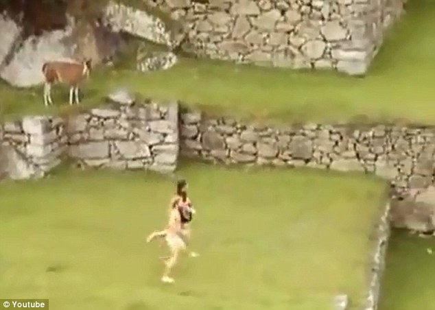 Streakers thiêng liêng: Các cặp vợ chồng được quay bởi một du khách thường chạy qua Machu Picchu