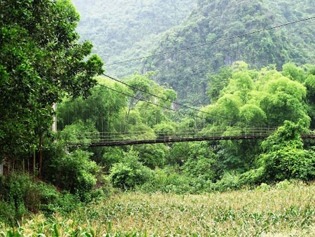 Trên địa bàn tỉnh Thái Nguyên hiện có tới gần nửa số cầu treo không an toàn.