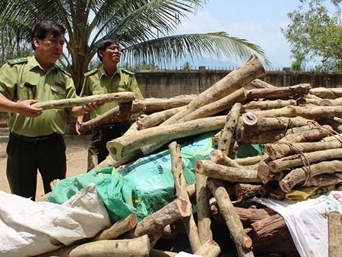 Nhập mô tả cho ảnh