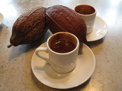 Uống cacao nóng mỗi ngày: 5 lợi ích không hề nhỏ